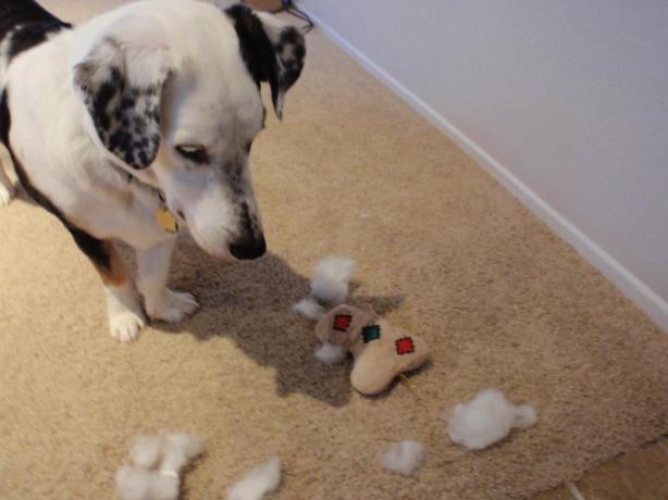 The first destroyed toy from Christmas 2012